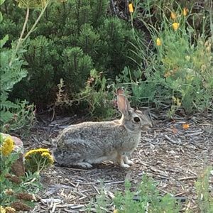 Meet your Posher, Rach